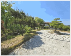  2025Ÿ��1828 ��� û�ֽ� ������ ���̸� ���Ǹ� 25-39     ���ð��