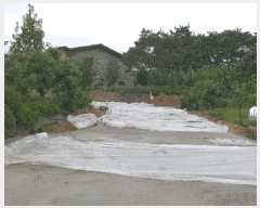  2025Ÿ2265  걺 ûõ  448-12      ð