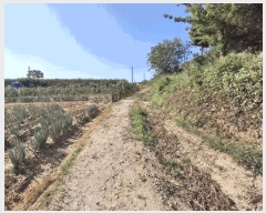  2025Ÿ��2906  �����