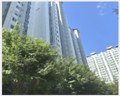  2025Ÿ��3343 ��� û�ֽ� ������ ������ 931 Ǫ������ĳ������Ʈ 110�� 21��2104ȣ   ����Ʈ���