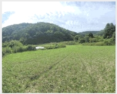  2025Ÿ��3411  ����