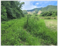  2025Ÿ��3411  ����