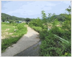  2025Ÿ��3411  ����