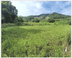  2025Ÿ��3411  ����