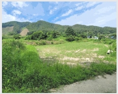  2025Ÿ��3411  ����