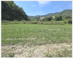  2025Ÿ��3411  ����