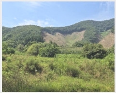  2025Ÿ��3411  ����