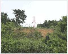  2025Ÿ��3473 ��� û�ֽ� û���� ��â�� ��� 274-36     ����(�Ӿ�)���