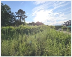  2025Ÿ��3473 ��� û�ֽ� û���� ��â�� ��� 274-36     ����(�Ӿ�)���