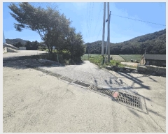  2025Ÿ��4247  ������