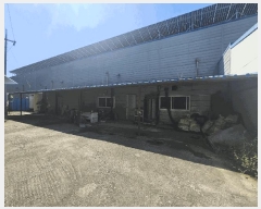  2025Ÿ��4247  ������