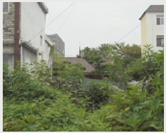  2025Ÿ��4506  �������