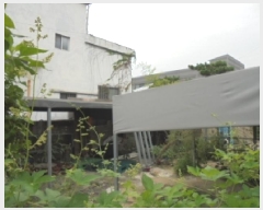  2025Ÿ��4506  �������