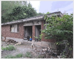  2025Ÿ��4704  �󰡰��