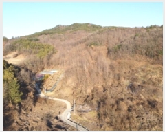  2025Ÿ��5622  �Ӿ߰��