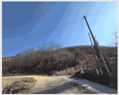  2025Ÿ��5622  �Ӿ߰��