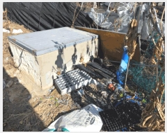  2025Ÿ��5738  �����