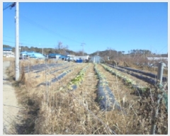  2025Ÿ��5738  �����