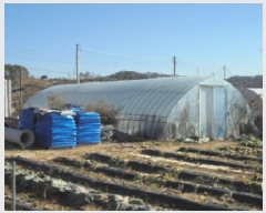  2025Ÿ��5738  �����