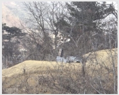  2025Ÿ50141  ûֽ 籸  ݰŸ 2     (Ӿ)