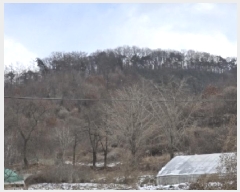  2025Ÿ50141  ûֽ 籸  ݰŸ 2     (Ӿ)