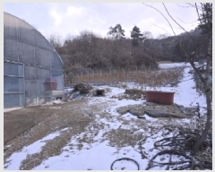  2025Ÿ50141  ûֽ 籸  ݰŸ 2     (Ӿ)