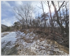  2025Ÿ50141  ûֽ 籸  ݰŸ 2     (Ӿ)