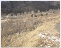  2025Ÿ50141  ûֽ 籸  ݰŸ 2     (Ӿ)