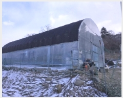  2025Ÿ50141  ûֽ 籸  ݰŸ 2     (Ӿ)