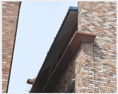  2025Ÿ��50858  �ٰ������ð��