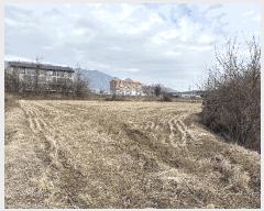  2025Ÿ��50904 ��� ���� ������ ��ź�� 416      ����(��)���