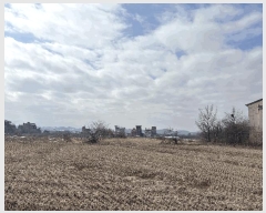  2025Ÿ��50904 ��� ���� ������ ��ź�� 416      ����(��)���