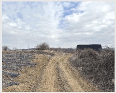  2025Ÿ��50904 ��� ���� ������ ��ź�� 416      ����(��)���