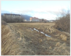  2025Ÿ��50904 ��� ���� ������ ��ź�� 416      ����(��)���