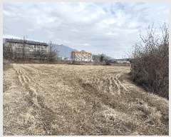  2025Ÿ��50904 ��� ���� ������ ��ź�� 416      ����(��)���