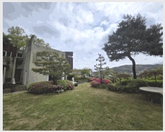  2025Ÿ50994  ûֽ  ̸ Ǹ 66-3     ܵ,ð