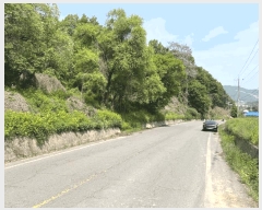  2025Ÿ51073  걺 縮 ҸŸ 908-1      (1)