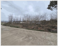  2025Ÿ��51095  �Ӿ߰��