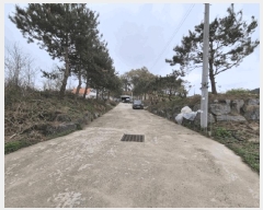  2025Ÿ��51095  �Ӿ߰��