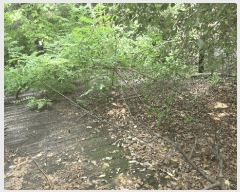  2025Ÿ51100  ûֽ 籸  279-21      ð