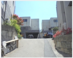  2025Ÿ51100  ûֽ 籸  279-21      ð