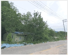  2025Ÿ��51101 ��� û�ֽ� û���� ������ ������ 36     ����(�������)���