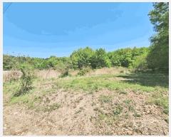  2025Ÿ51122  ûֽ û   359     (1)