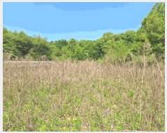  2025Ÿ51122  ûֽ û   359     (1)