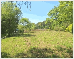  2025Ÿ51122  ûֽ û   359     (1)