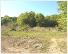  2025Ÿ51122  ûֽ û   359     (1)