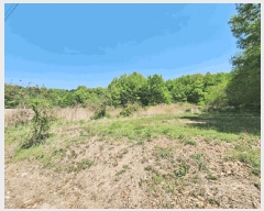  2025Ÿ51122  ûֽ û   359     (1)