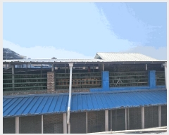  2025Ÿ��51159  �ٰ������ð��