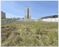  2025Ÿ��51178  �������