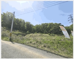  2025Ÿ��51181 ��� û�ֽ� ��籸 ������ 195      ����(��1)���